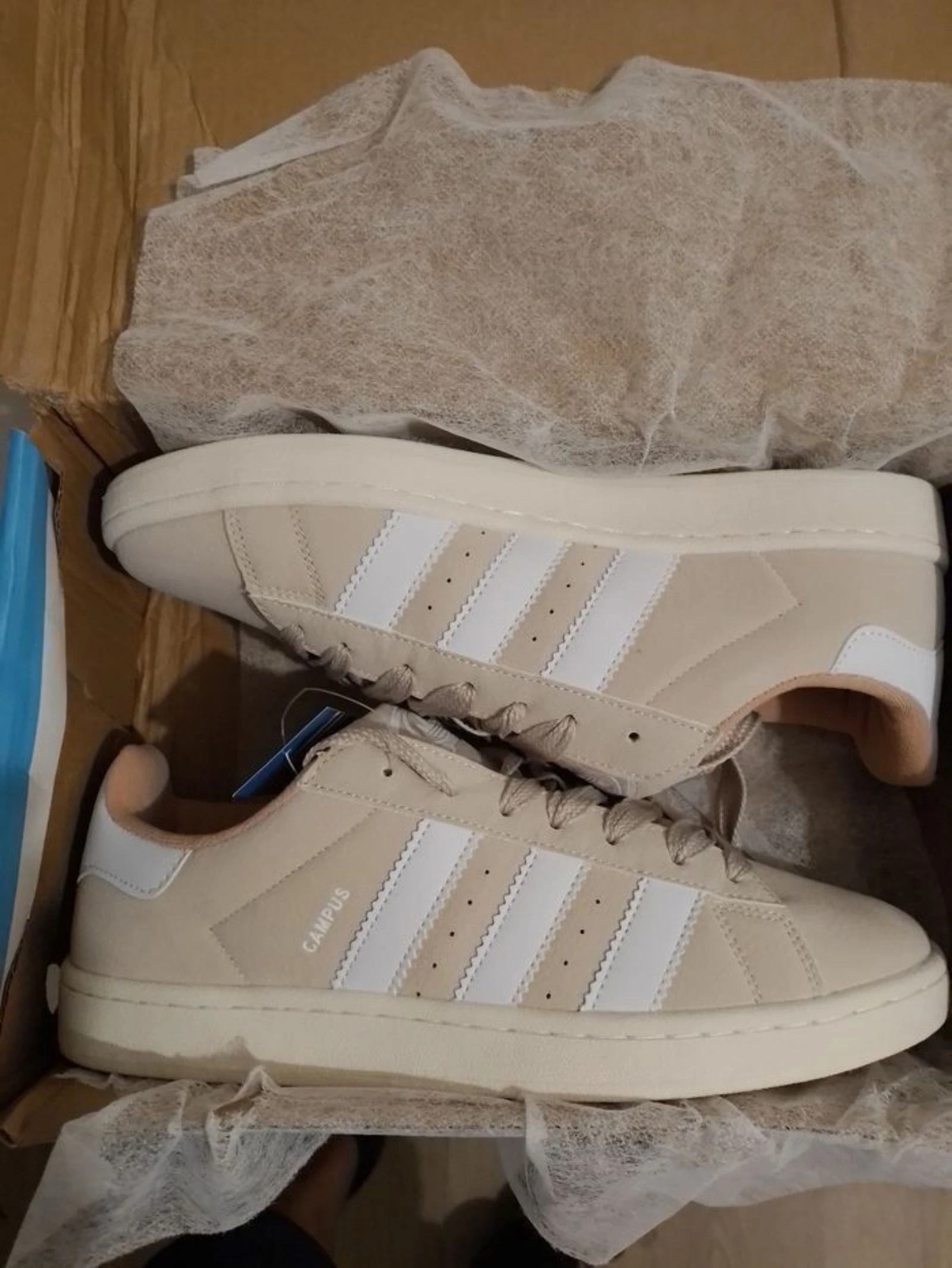 Adidas campus  – photo 7
